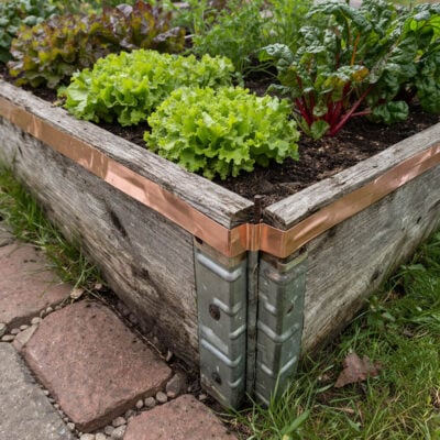 Kobbertape | Mod Snegle 4 cm x 5 m Miljø