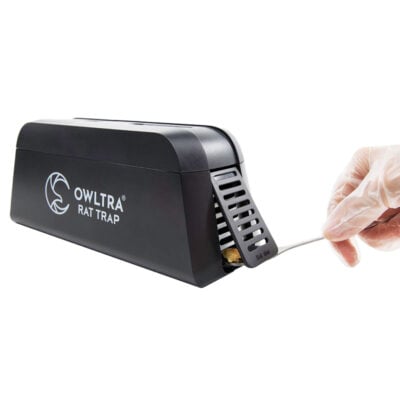 Elektrisk muse-:rottefælde | OWLTRA® lokkefugl