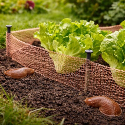 Sneglestop Kobbervæv | 6 m x 10 cm Miljø