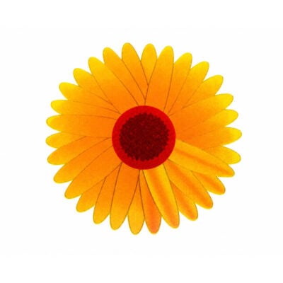 Flue- & insektfælde | Vindue Gul blomst 10-pak